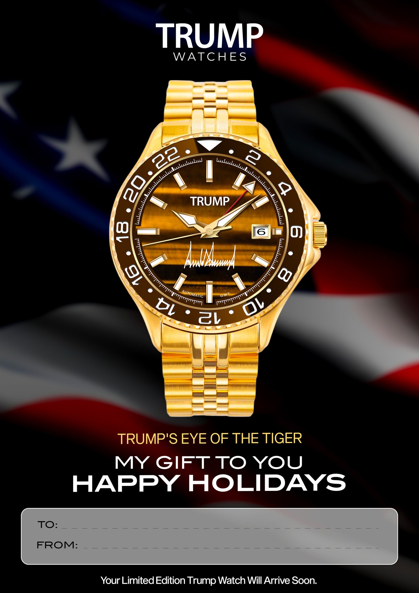 Trump Eye of the Tiger - Holiday Card